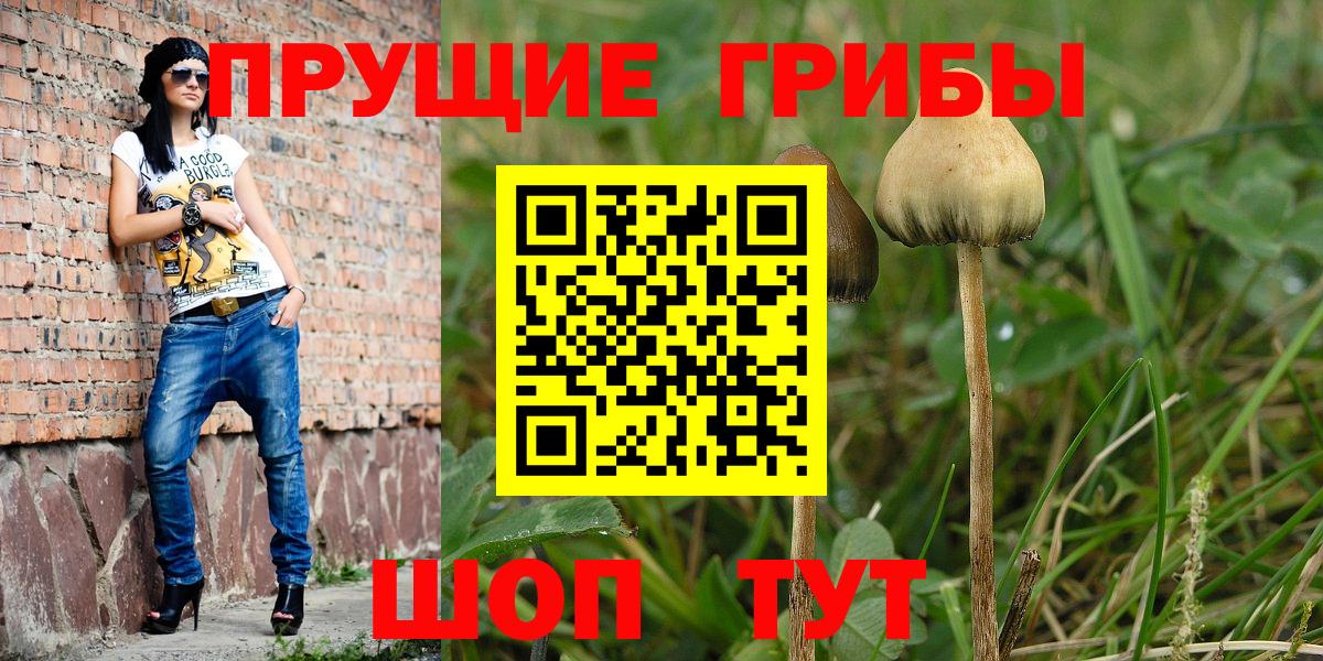 Узловая  магазин  наркотиков  Галлюциногенные грибы мухоморы  Вход с VPN  Галлюциногенные грибы GOLDEN TEACHER 
