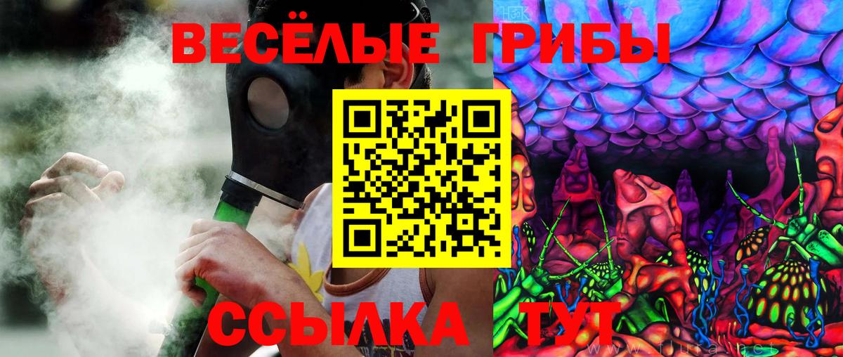 Псилоцибиновые грибы мухоморы Узловая
